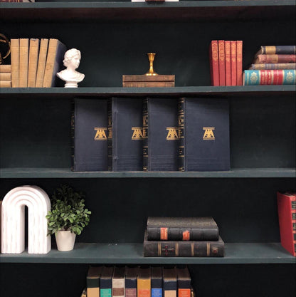 Classic Books by the Foot: March of Democracy, Decorative Hardcover Set, Display Hardcovers