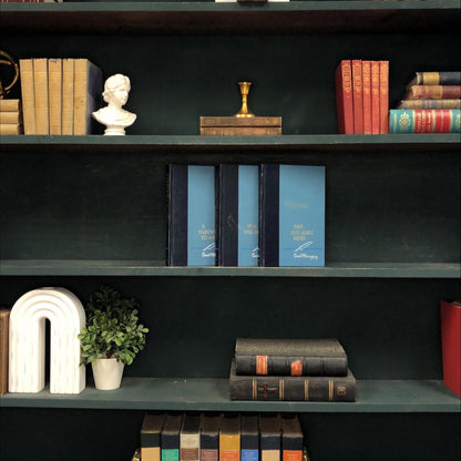 Classic Books by the Foot: Hemingway, Decorative Hardcover Set, Display Hardcovers