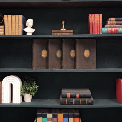 Non-Fiction Books by the Foot: The New Students Reference Work, Decorative Hardcover Set, Display Hardcovers