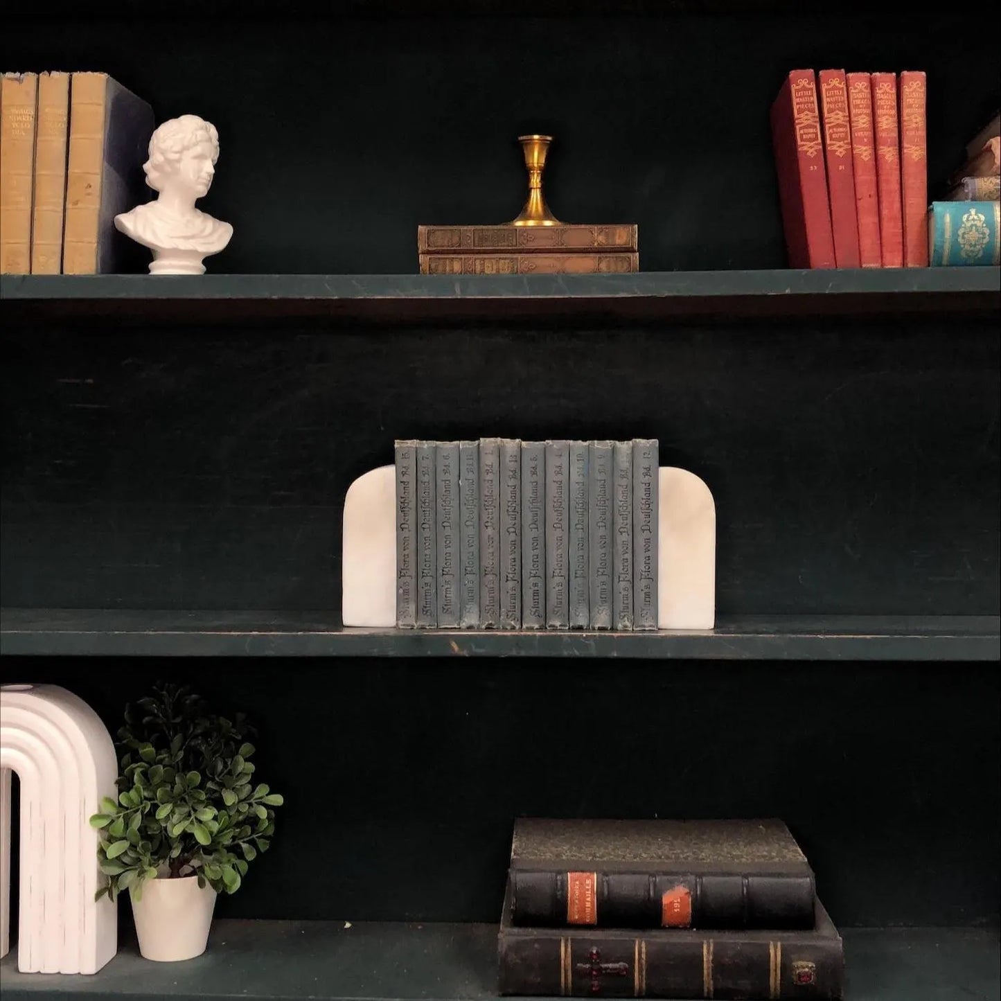 Foreign Language Books by the Foot:  Flora in Germany, Decorative Hardcover Set, Display Hardcovers