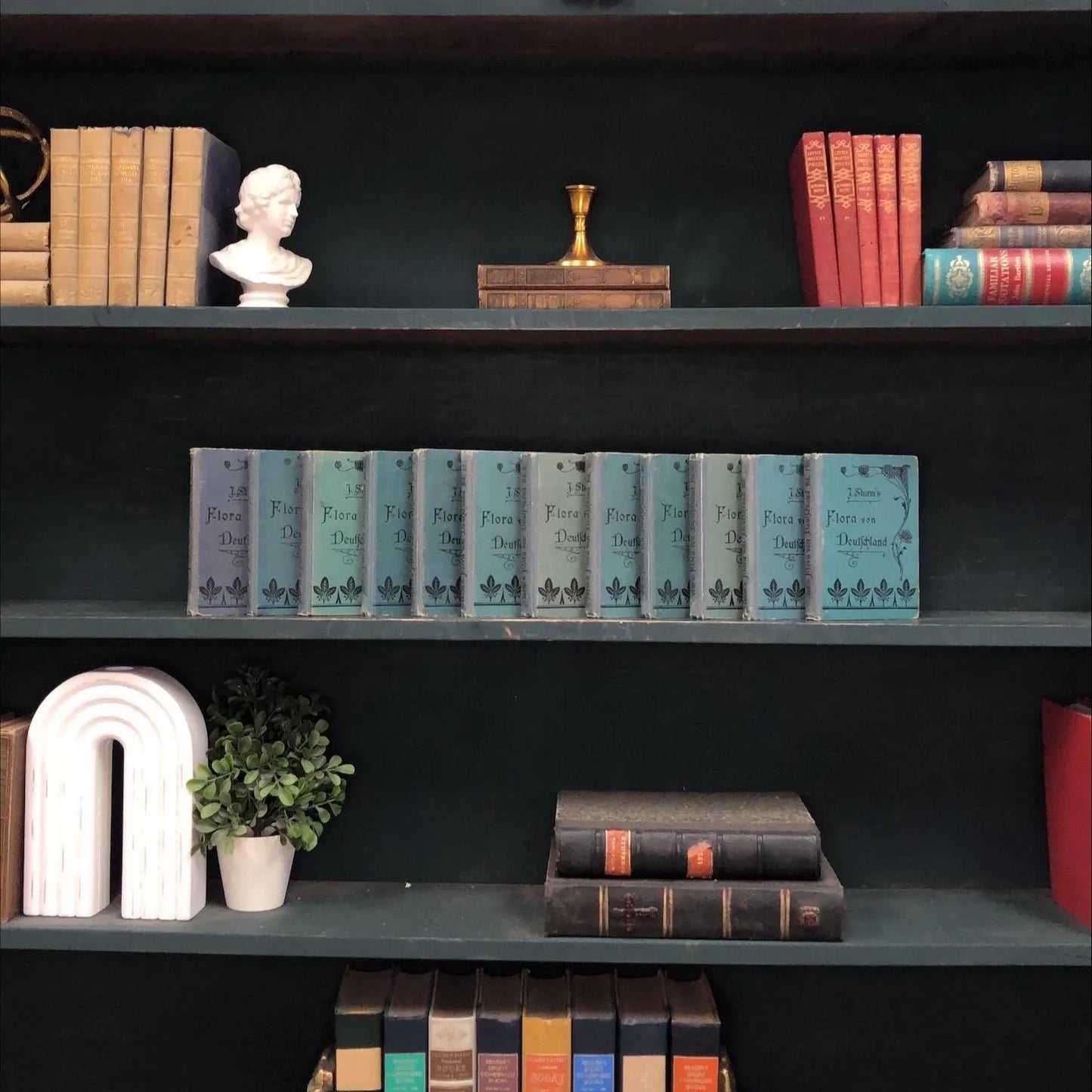 Foreign Language Books by the Foot:  Flora in Germany, Decorative Hardcover Set, Display Hardcovers
