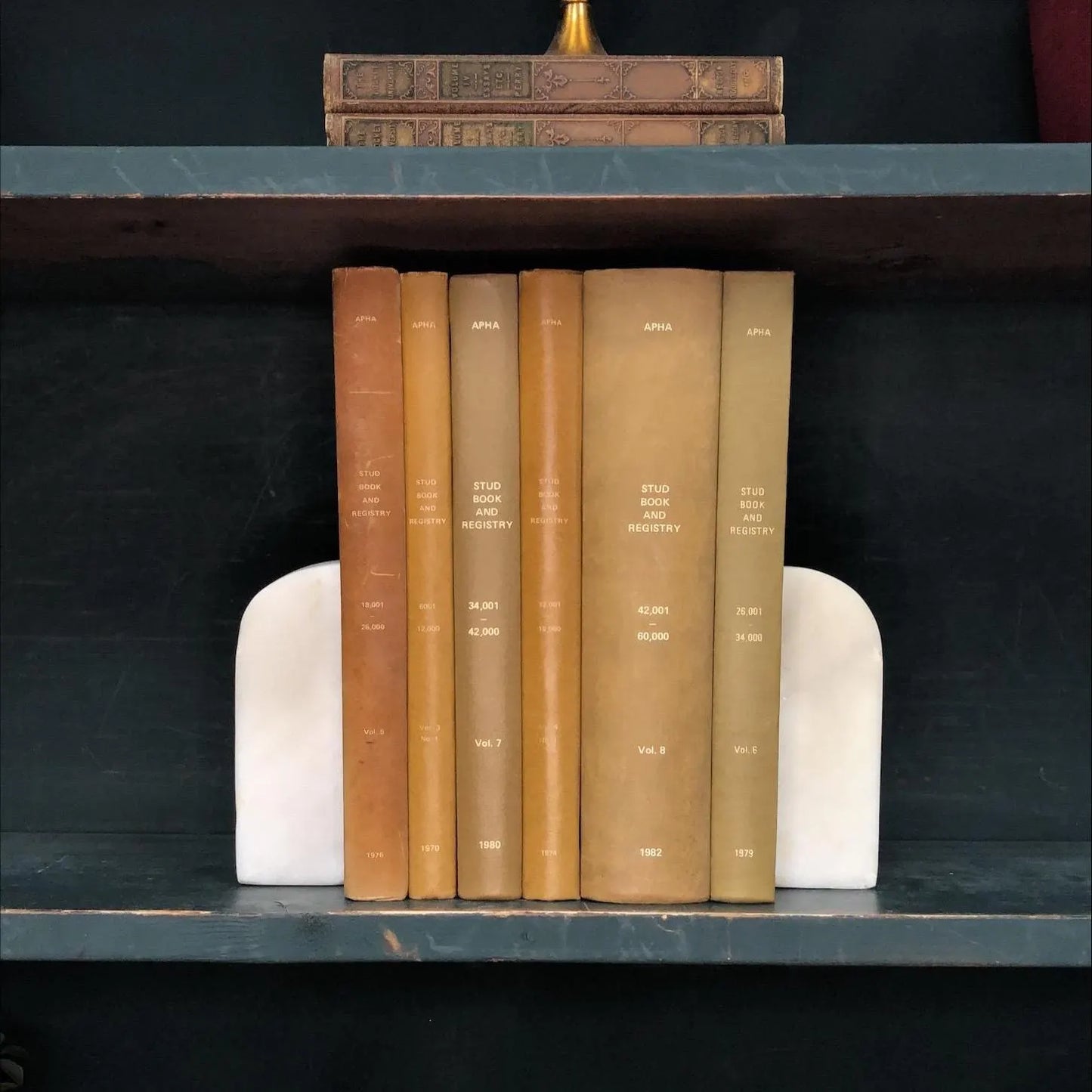 Classic Books by the Foot: The American Paint Horse Association, Decorative Hardcover Set, Display Hardcovers