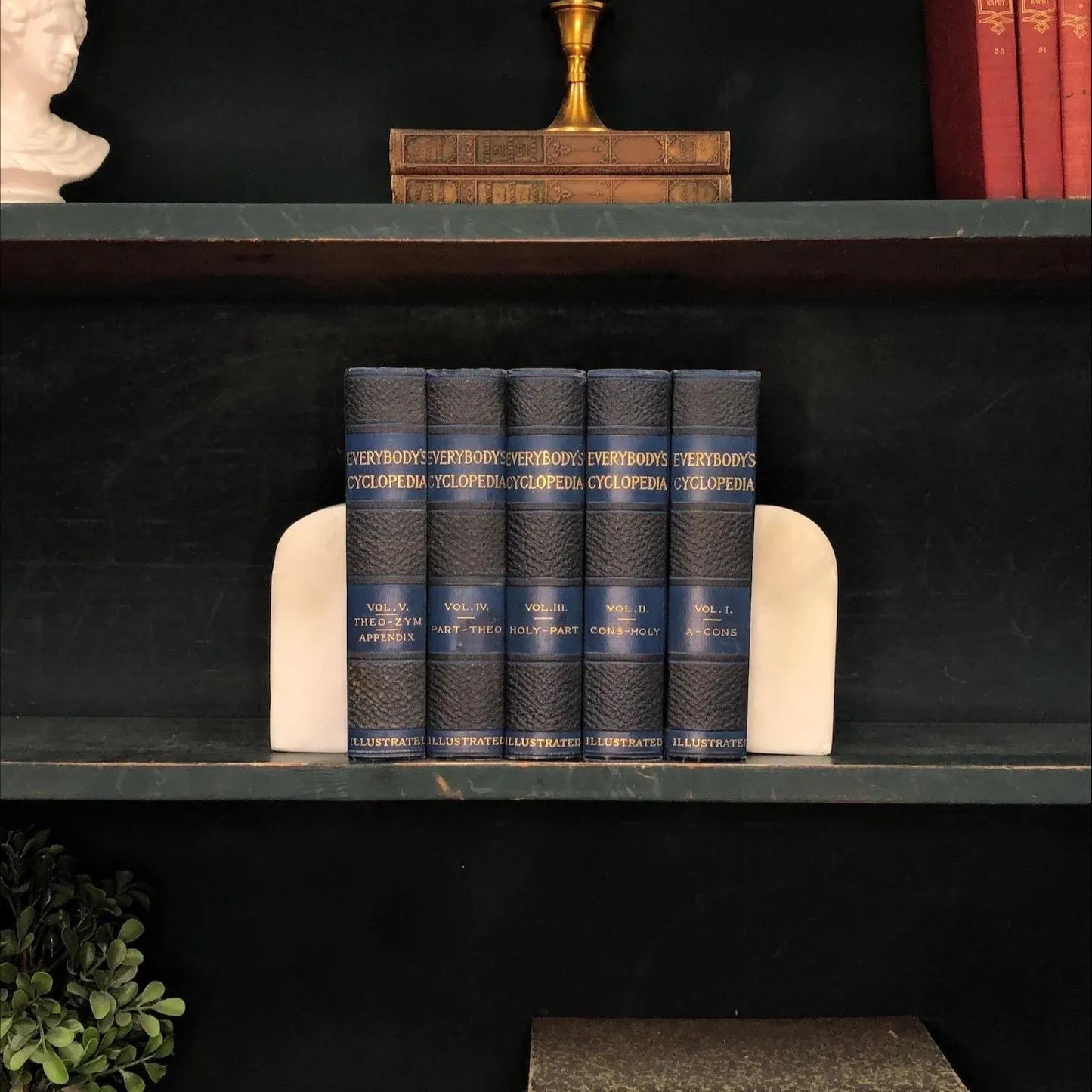 Non-fiction Books by the Foot: Everybody's Encyclopedia, Decorative Hardcover Set, Display Hardcovers
