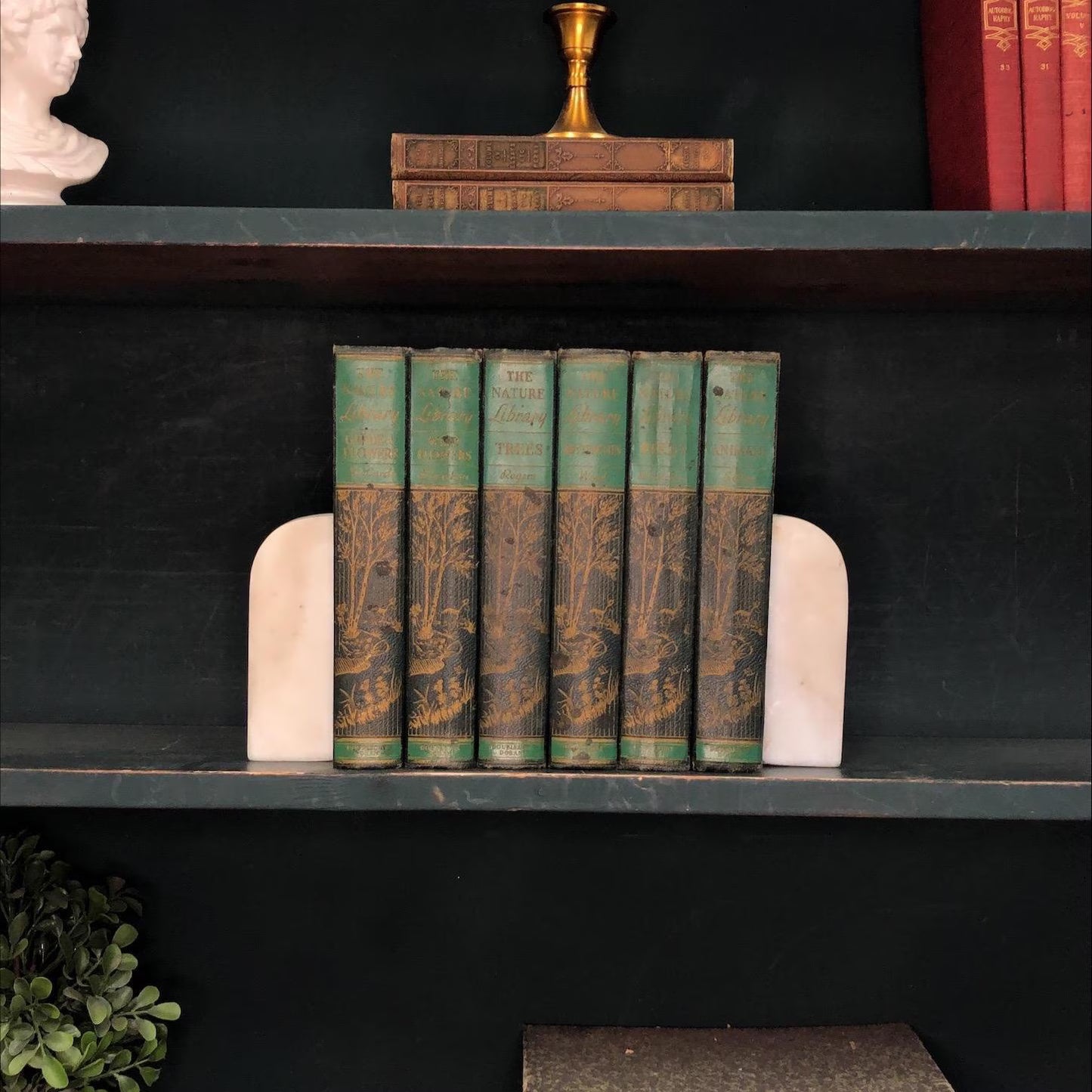 Classic Books by the Foot: The Nature Library, Hardcover Set, Display Hardcovers
