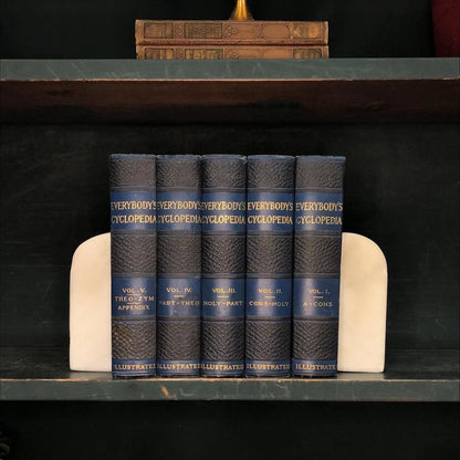 Non-fiction Books by the Foot: Everybody's Encyclopedia, Decorative Hardcover Set, Display Hardcovers