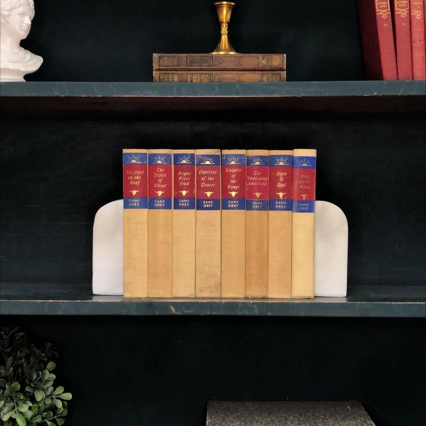Classic Books by the Foot: Western Ranch Decor Set, Decorative Hardcover Set, Display Hardcovers