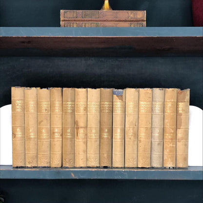 Classic Books by the Foot: Old World Library Shelf, Sun-faded indigo Encyclopedias, Hardcover Set, Display Hardcovers