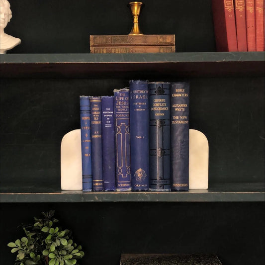Classic Books by the Foot: Antique Blue Purple books Pastors Library Decor, Display Hardcovers