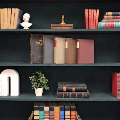 Classic Books by the Foot: Antique Victorian Classics Bundle Academia Library Decor, Display Hardcovers