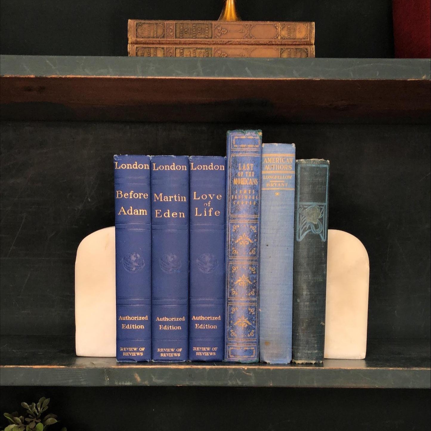 Classic Books by the Foot: Vintage Blue Literature Collection Old Classic Library Decor, Display Hardcovers set