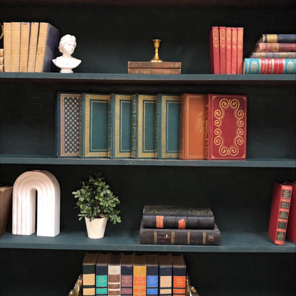 Classic Books by the Foot: Vintage Classic Books Dark Academia Library Decor International Collectors Library, Display Hardcovers