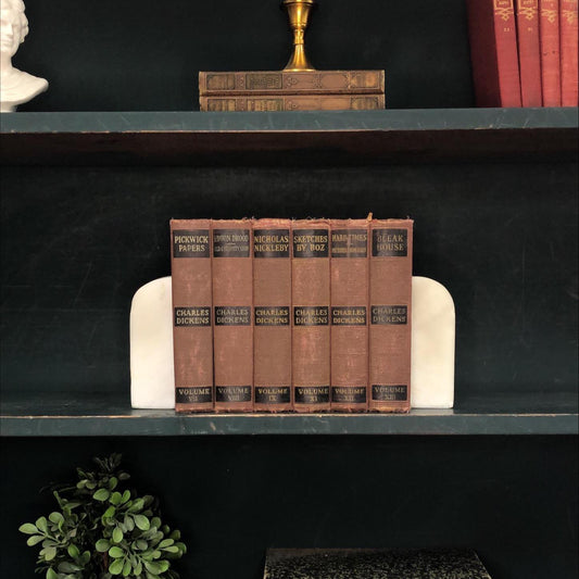 Classic Books by the Foot: Charels Dickens Antique Classic Library Decor, Display Hardcovers