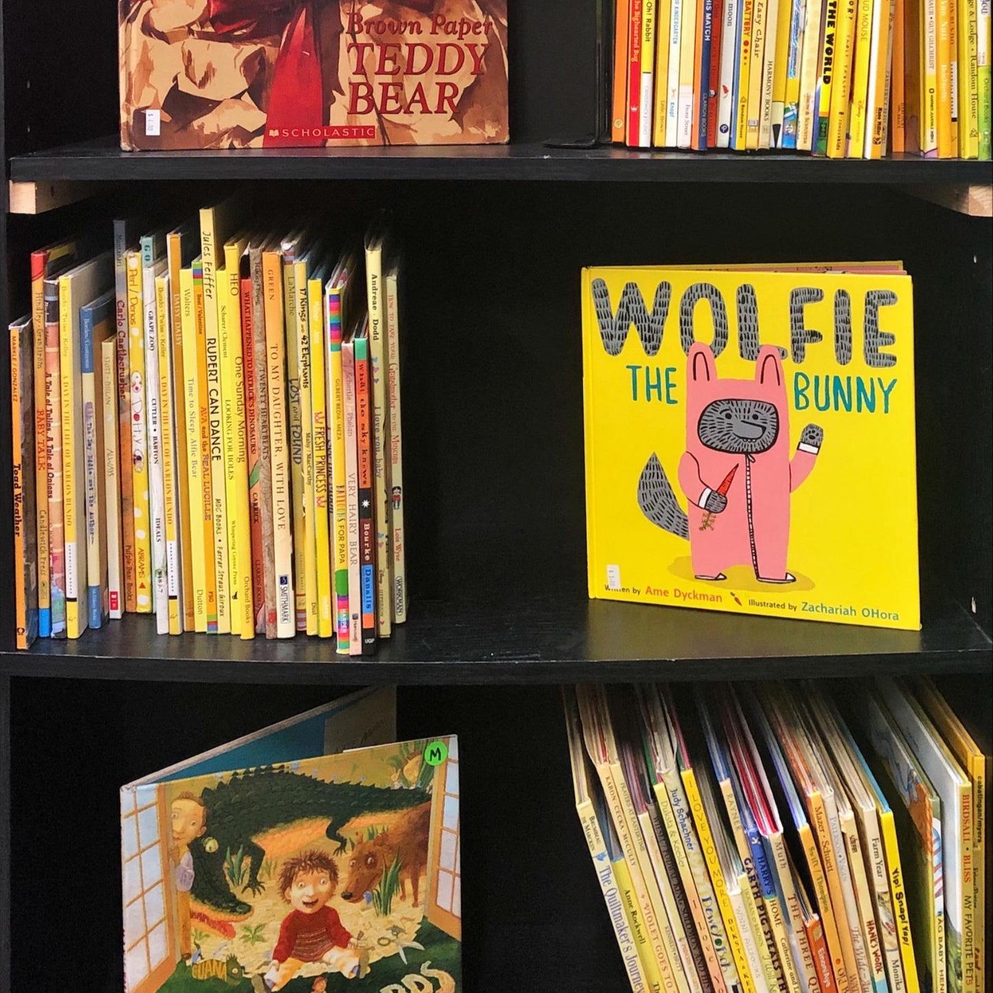Books by the Pound | Assorted Children's Books | Literary Starter Kits | Personal Library Builder | Budget Friendly | Hardcover/Paperbacks