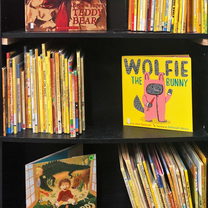 Books by the Pound | Assorted Children's Books | Literary Starter Kits | Personal Library Builder | Budget Friendly | Hardcover/Paperbacks