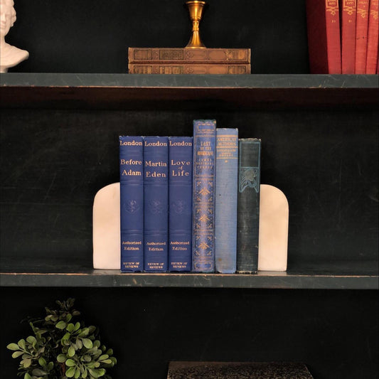 Classic Books by the Foot: Vintage Blue Literature Collection Old Classic Library Decor, Display Hardcovers set