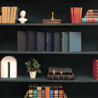 Classic Books by the Foot: Antique Gothic Academia Classic Bundle Old World Library Decor, Display Hardcovers set