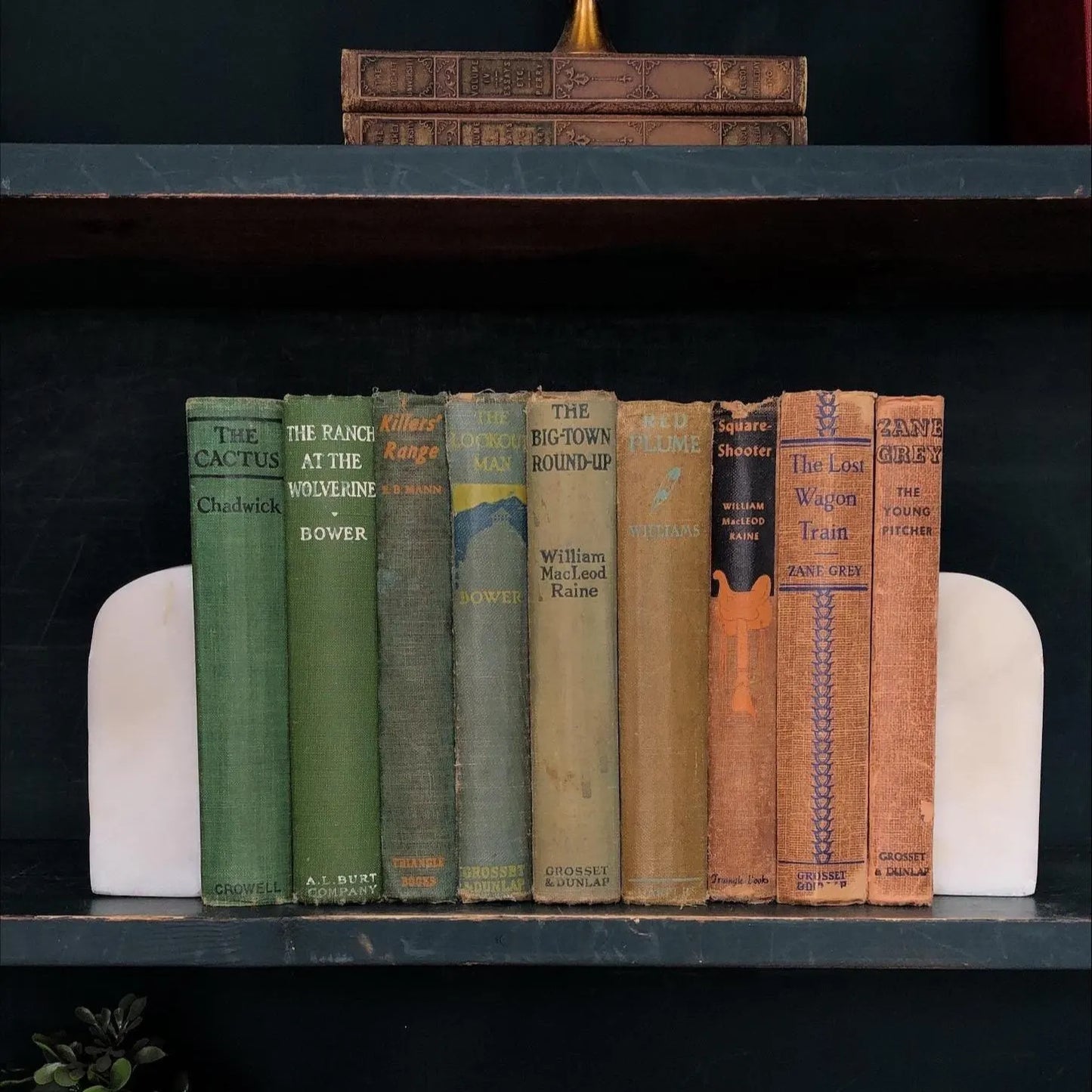 Classic Books by the Foot: Vintage Western Novel Book Collection Rustic Western Cabin Decor, Hardcover Display