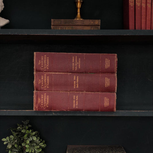 Classic Books by the Foot: Vintage Dictionary Set New Century Cyclopedia of Names Complete 3 Volume Burgundy Old Study Shelf Decor