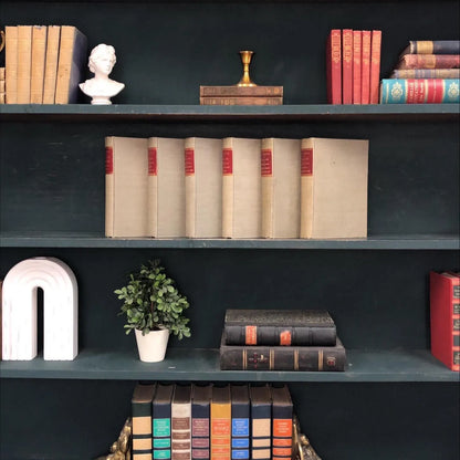 Classic Books by the Foot: Antique Balzac Novel Set 1899 Neutral Grey French Library Decor
