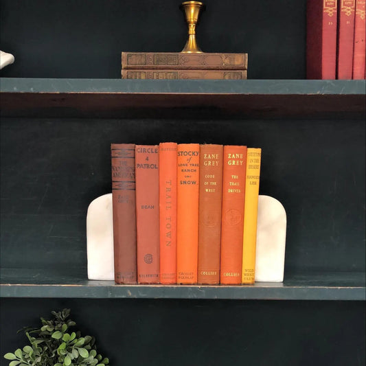 Classic Books by the Foot: Vintage Western Novel Book Collection Orange Red Desert Southwest Ranch Library Decor