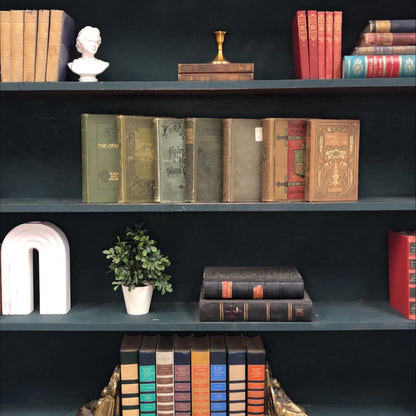Classic Books by the Foot: Antique 1800's Brown and Green Book Bundle Earthy Farmhouse Estate Library Decor, Display Hardcovers