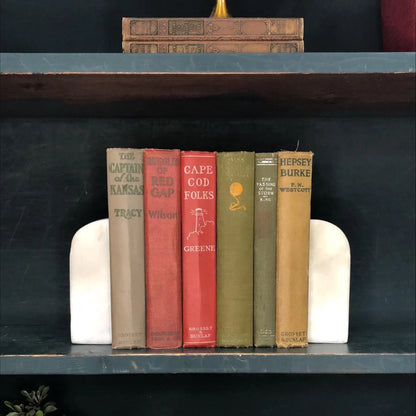 Classic Books by the Foot: Vintage Novel Book Set Rustic Cottage Library Decor, Hardcover Display