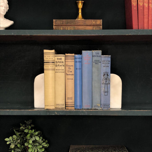 Classic Books by the Foot: Cream and Blue Vintage Novel Bundle Hamptons Library Style Decor, Hardcover Display