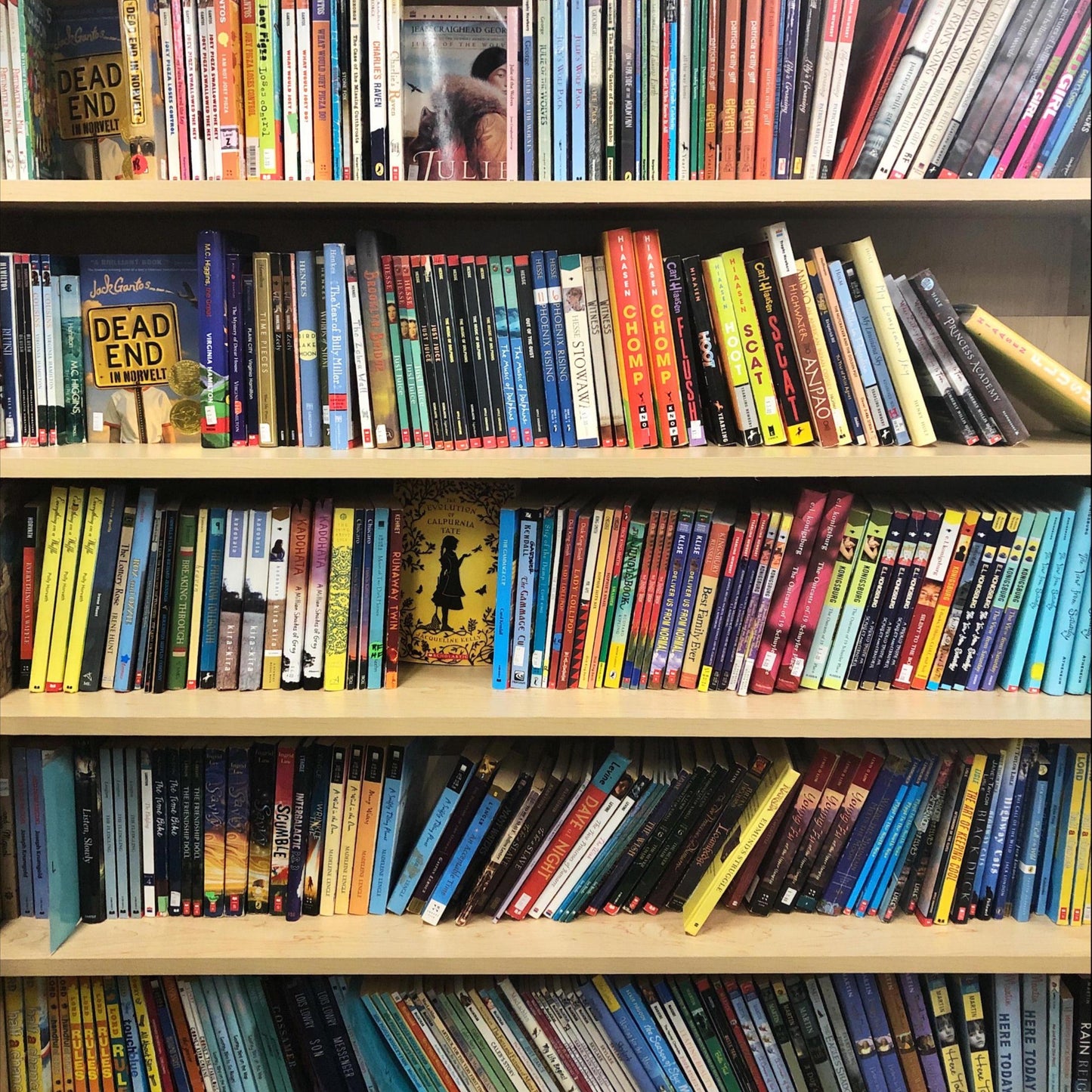 Books by the Pound | Assorted Children's Books | Literary Starter Kits | Personal Library Builder | Budget Friendly | Hardcover/Paperbacks