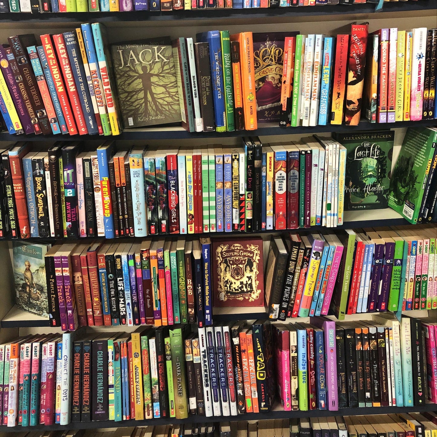 Books by the Pound | Assorted Children's Books | Literary Starter Kits | Personal Library Builder | Budget Friendly | Hardcover/Paperbacks