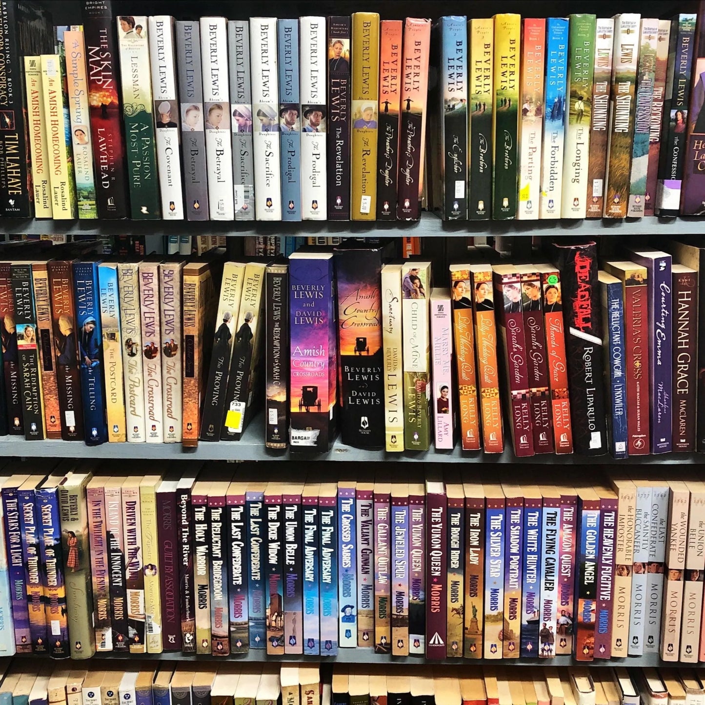 Books by the Pound | Assorted Romance Books | Hardcover/Paperback | Budget Friendly | Perfect for Filling Personal Collections & Bookcases