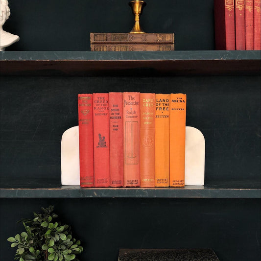 Classic Books by the Foot: Rustic Western Book Collection Western Ranch Library Decor, Hardcover Display