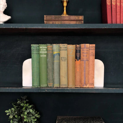 Classic Books by the Foot: Vintage Western Novel Book Collection Rustic Western Cabin Decor, Hardcover Display
