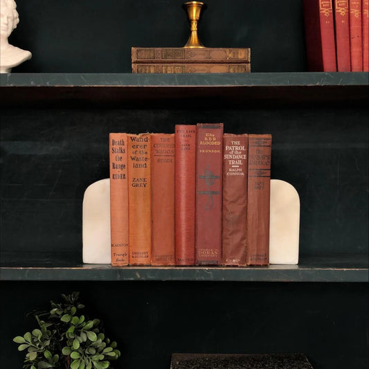 Classic Books by the Foot: Vintage Western Novel Collection Southwest Ranch Library Decor, Hardcover Display