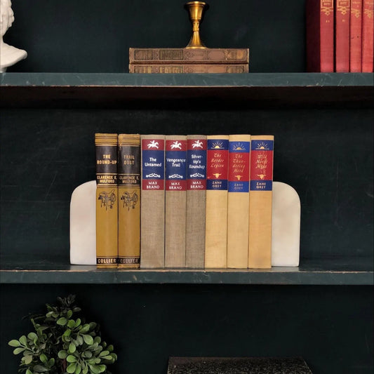 Classic Books by the Foot: Vintage Western Novel Book Collection Zane Grey Max Brand Clarance Mulford, Cowboy Ranch Decor Hardcover Display