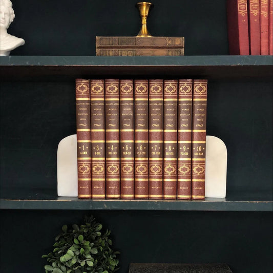 Classic Books by the Foot: Vintage Brown Illustrated World Encyclopedia Book Collection Home Library Decor