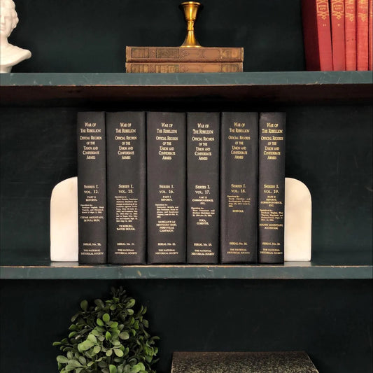 Classic Books by the Foot: Vintage Black Military War in the Rebellion Records Book Collection Civil War Library Decor