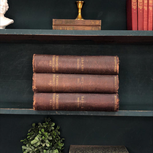 Classic Books by the Foot: Victorian Brown Encyclopedia Britannica Books 1880's Dark Academia Library Decor