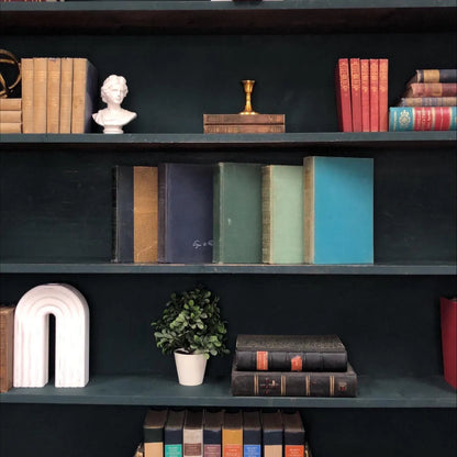 Classic Books by the Foot: Vintage Poetry Book Collection Edgar Allan Poe, Walt Whitman, Edgar Guest Cottagecore Library Decor