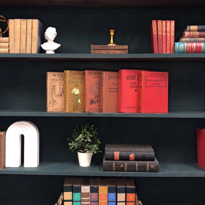 Classic Books by the Foot: Vintage Children's Red and Brown Adventure Novel Book Collection Old School Rustic Home Library Decor