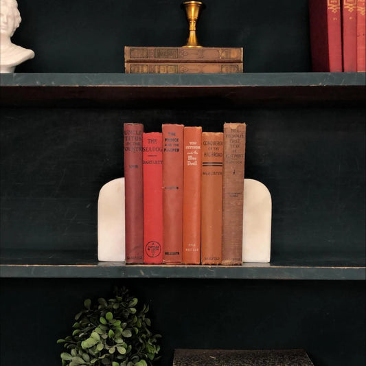 Classic Books by the Foot: Antique Red and Brown Juvenile Children's Book Collection Rustic Library Decor