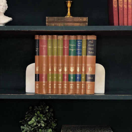 Classic Books by the Foot: Vintage Brown Encyclopedia Britannica Great Books Collection Aristotle, Newton, Goeth Dark academia Library Decor