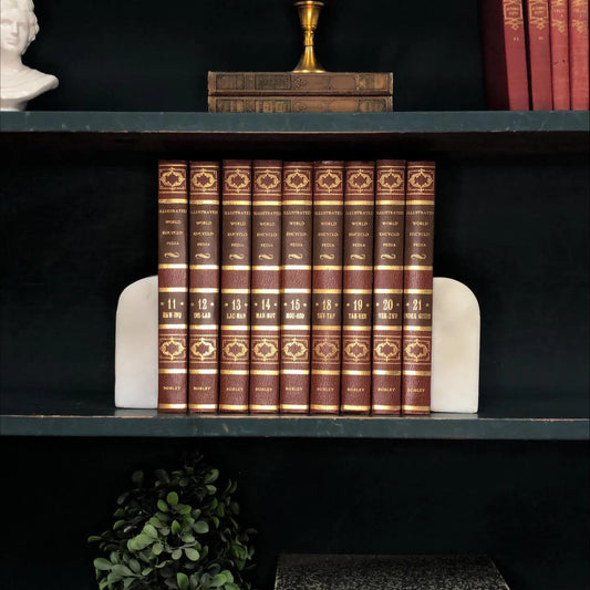 Classic Books by the Foot: Vintage Brown Illustrated World Encyclopedia Book Collection Home Library Decor