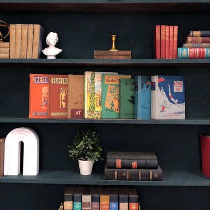 Classic Books by the Foot: Vintage Children's Reader Collection Educational Mid Century School Book Bundle Library Decor