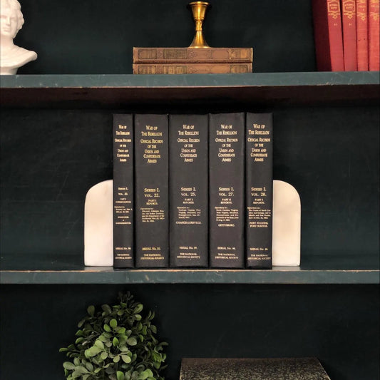 Classic Books by the Foot: Vintage Black Military War in the Rebellion Records Book Collection Civil War Library Decor