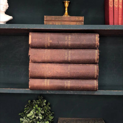 Classic Books by the Foot: Victorian Brown Encyclopedia Britannica Books 1880's Dark Academia Library Decor
