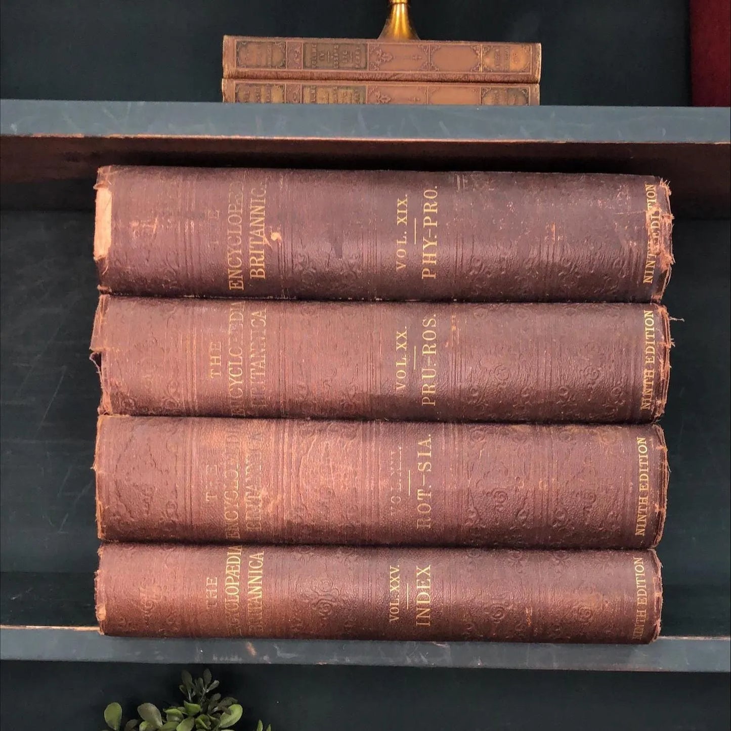 Classic Books by the Foot: Victorian Brown Encyclopedia Britannica Books 1880's Dark Academia Library Decor