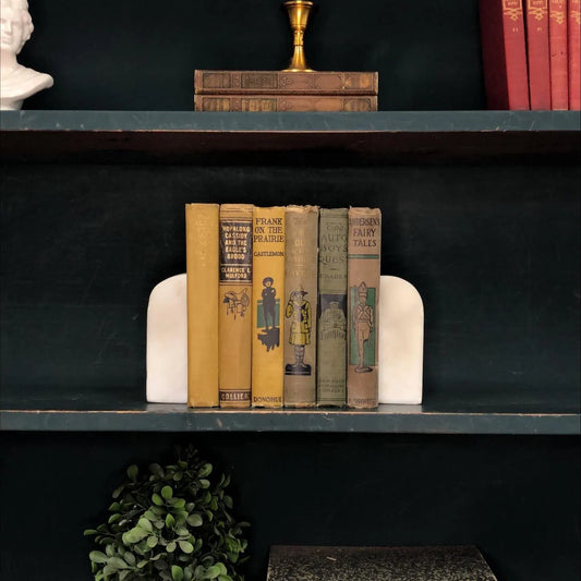 Classic Books by the Foot: Antique Children's Adventure Book Collection Early 1900's Rustic Library Decor