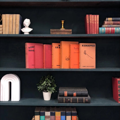 Classic Books by the Foot: Vintage Children's Adventure Orange Decorative Collection Boys Library Decor