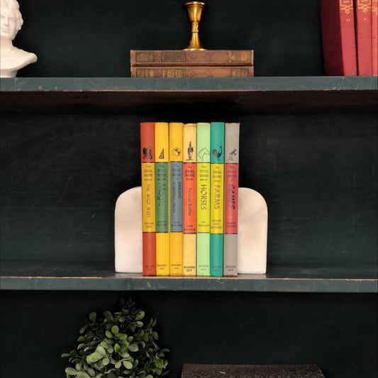 Classic Books by the Foot: Vintage Real Book About Series Garden City Children's Book Bundle Mid-Century Educational Library Decor