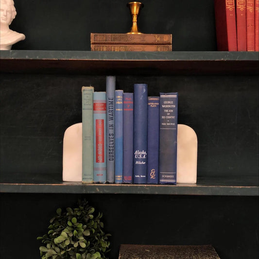 Classic Books by the Foot: Vintage Blue Nonfiction Decorative Book Bundle Costal Library Decor